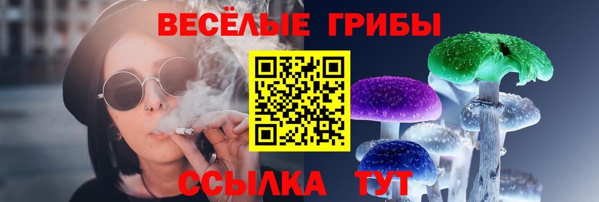Галлюциногенные грибы Psilocybe  Псилоцибиновые грибы Psilocybine cubensis  Вход с VPN  Усолье-Сибирское 